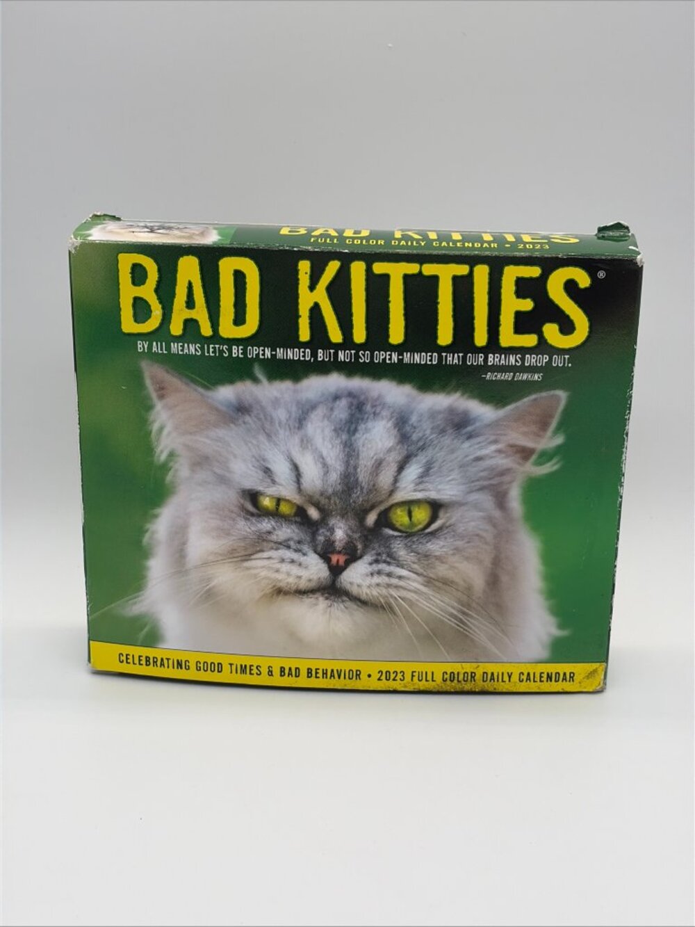 Bad Kitties 2023 Box Calendar, Willow Creek Press